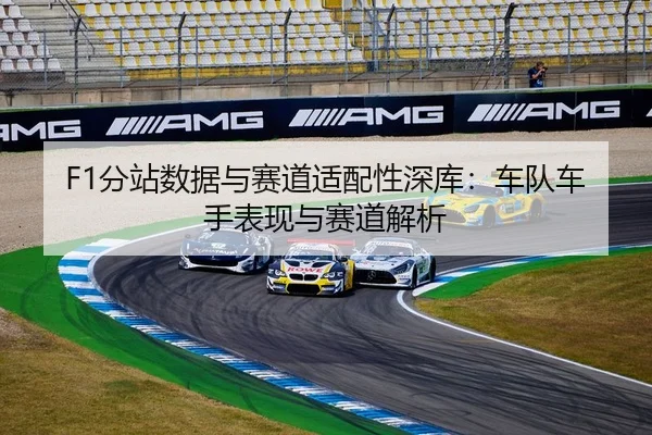 F1分站数据与赛道适配性深库：车队车手表现与赛道解析